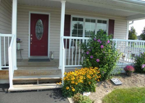 The challenges of planting in sandy soil!