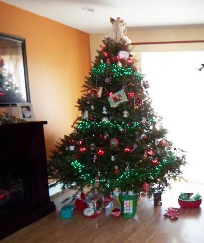 Survival De-Stressing for the Holidays